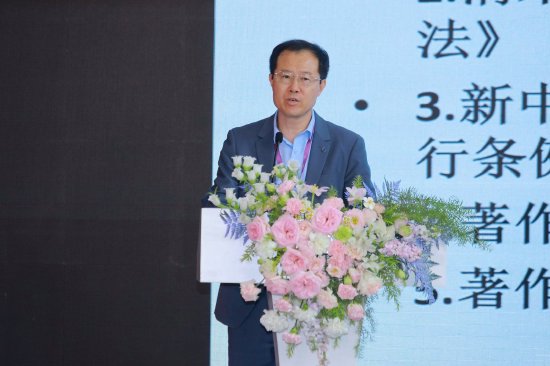 华东政法大学丛立先：中国产业和IP增长应被定位为国际战略，企业是最重要的因素