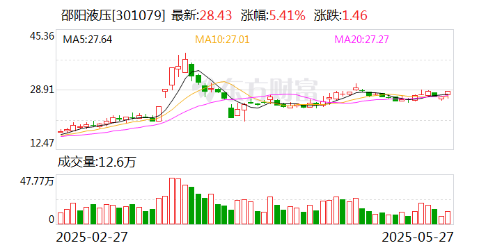 邵阳液压：终止公司2024年度向特定对象发行股票事项